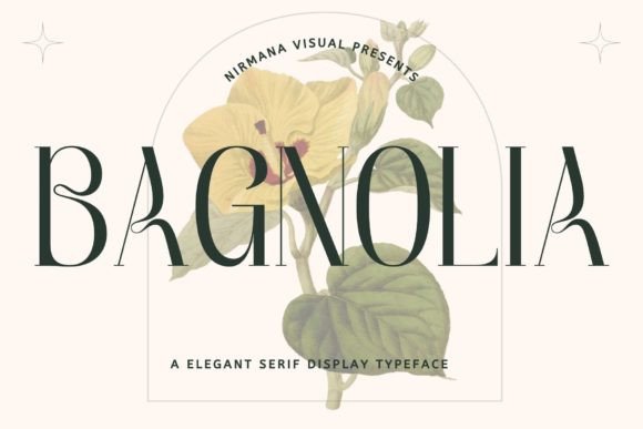 Bagnolia: A Modern Display Font for Web Design