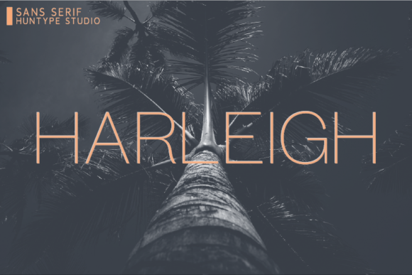 Harleigh Font: The Clean Sans Serif for Campaign Clarity
