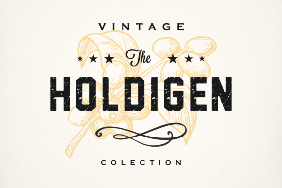 Holdigen: The Bold Display Font for Memorable Brands